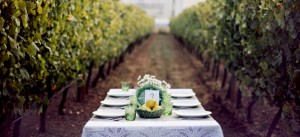 autumn-vineyard-featured-image