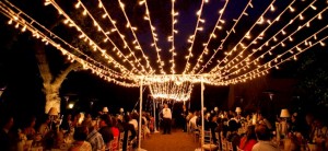 fairy twinkle lights feature image