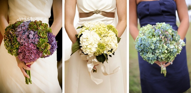 Hydrangeas as wedding flower