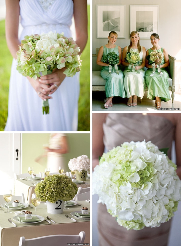 Hydrangeas as wedding flower