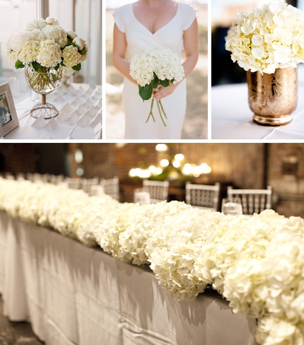 Hydrangeas as wedding flower